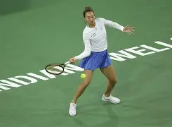  加入外籍明星限制令 